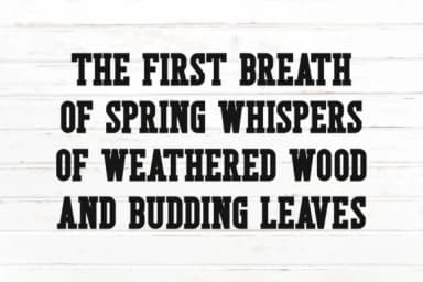 Rustic Spring by Pian45 — Slab Serif Font — thumbnail 2