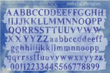 Rusty Fever by Fontsandfashion — Slab Serif Font — thumbnail 3