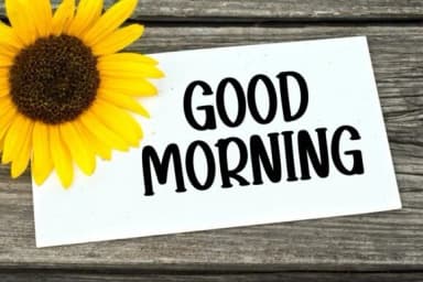 Sample Planner by Minimalist Eyes — Slab Serif Font — thumbnail 3