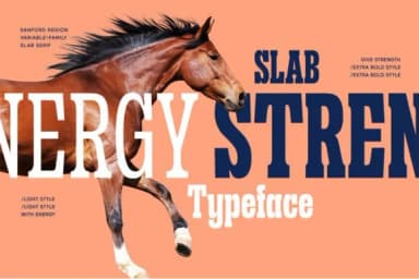 Sanford Region by letterhend — Slab Serif Font — thumbnail 4