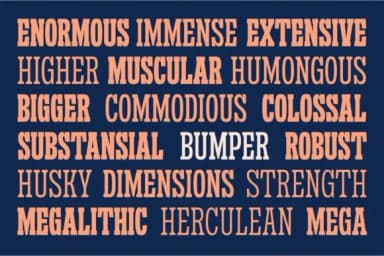 Sanford Region by letterhend — Slab Serif Font — thumbnail 5