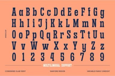 Sanford Region by letterhend — Slab Serif Font — thumbnail 7