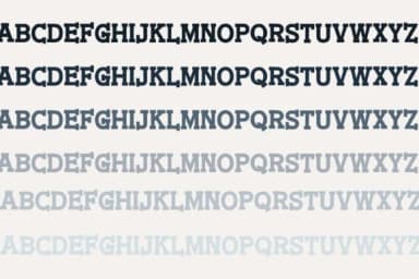 Santa Clarita by Illustration Ink — Slab Serif Font — thumbnail 5