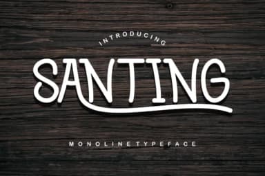 Santing by prayoga_std — Slab Serif Font — thumbnail 1