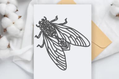 Scarab by KinnareeART — Dingbats Font — thumbnail 6