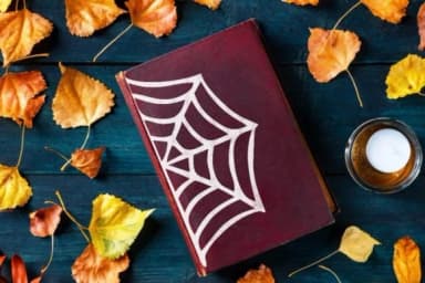 Scary Spider Web by Pian45 — Dingbats Font — thumbnail 3