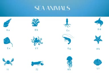 Sea Animals by Heartcraft Atelier — Dingbats Font — thumbnail 2