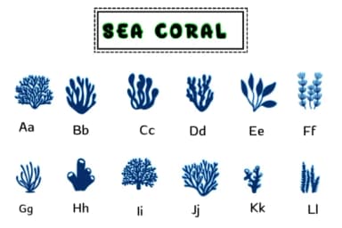 Sea Coral by PraewDesigns — Dingbats Font — thumbnail 2