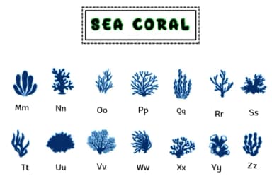 Sea Coral by PraewDesigns — Dingbats Font — thumbnail 3