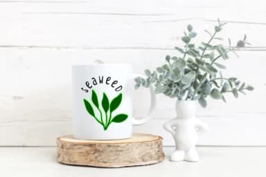 Sea Coral by PraewDesigns — Dingbats Font — thumbnail 6