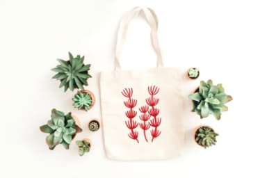 Sea Coral by PraewDesigns — Dingbats Font — thumbnail 7