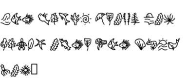 Sea Doodle Font by CrafterFonts — Dingbats Font — thumbnail 5