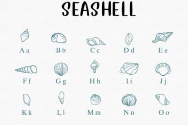 Seashell by Sontaya — Dingbats Font — thumbnail 2