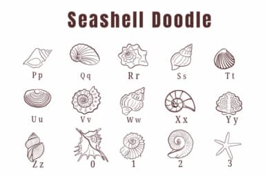Seashell Doodle by Suphitchaya — Dingbats Font — thumbnail 3