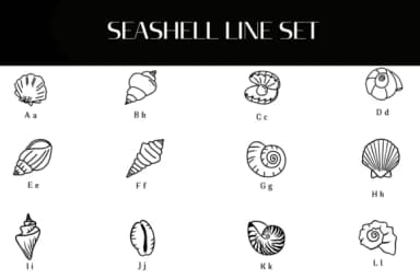 Seashell Line Set by Heartcraft Atelier — Dingbats Font — thumbnail 2