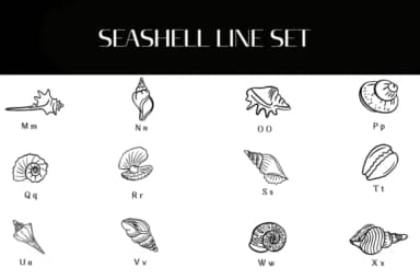 Seashell Line Set by Heartcraft Atelier — Dingbats Font — thumbnail 3