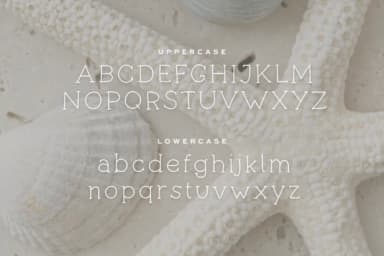 Seashells by Pretty Decadent — Slab Serif Font — thumbnail 2