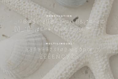 Seashells by Pretty Decadent — Slab Serif Font — thumbnail 4