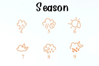 Season by Nongyao — Dingbats Font — thumbnail 4