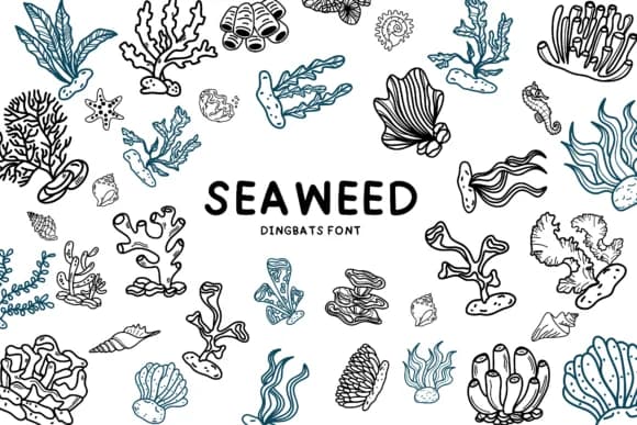 Seaweed by Bee piyanuch — Dingbats Font