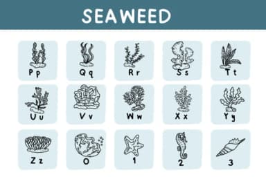 Seaweed by Bee piyanuch — Dingbats Font — thumbnail 7