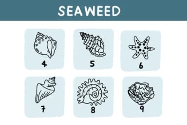 Seaweed by Bee piyanuch — Dingbats Font — thumbnail 8