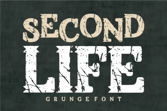 Second Life by TaralArt — Slab Serif Font