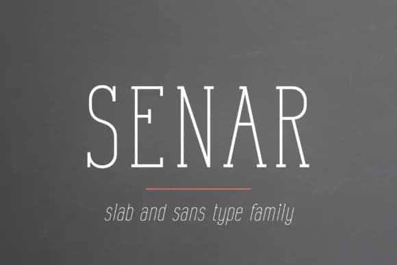 Senar by Pasha Larin — Slab Serif Font