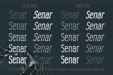 Senar by Pasha Larin — Slab Serif Font — thumbnail 4