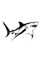 Shark by MOMAT THIRTYONE — Dingbats Font — thumbnail 3
