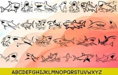 Shark Fish by MOMAT THIRTYONE — Dingbats Font — thumbnail 2