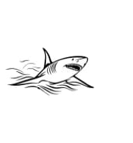 Shark Fish by MOMAT THIRTYONE — Dingbats Font — thumbnail 3