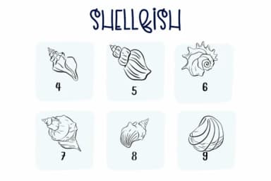 Shellfish by Sirinart — Dingbats Font — thumbnail 4