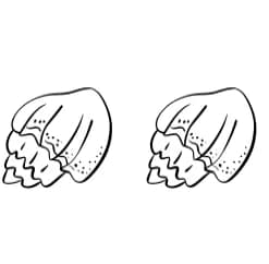 Shellfish by Sirinart — Dingbats Font — thumbnail 8