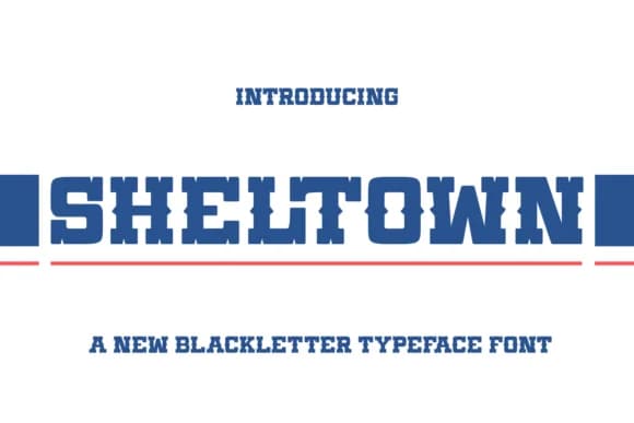 Sheltown by Ari (7NTypes) — Slab Serif Font