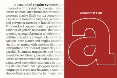 Shemekia Regular by Area Type — Slab Serif Font — thumbnail 3