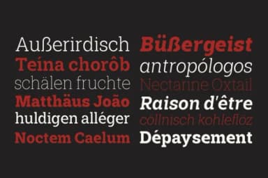 Shemekia Regular by Area Type — Slab Serif Font — thumbnail 4