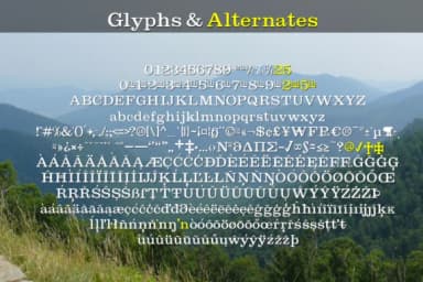 Shenandoah Clarendon Family by Megami Studios — Slab Serif Font — thumbnail 2