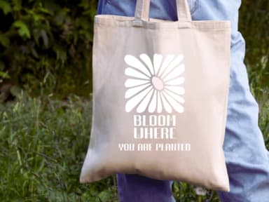 Siena by Pukka De — Slab Serif Font — thumbnail 4