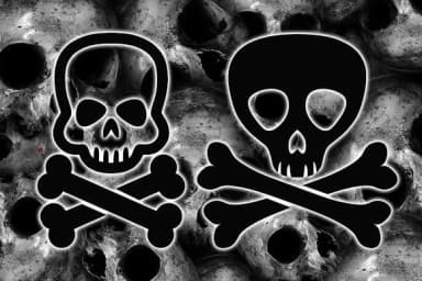 Skallen by vladimirnikolic — Dingbats Font — thumbnail 3