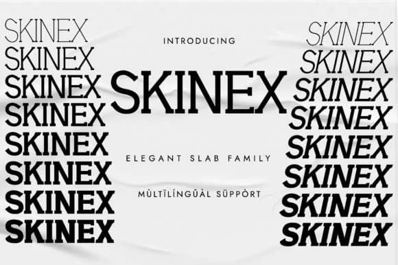 Skinex by Minimalistartstudio — Slab Serif Font