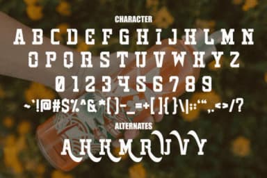 Skinny Tumbler by Pian45 — Slab Serif Font — thumbnail 3