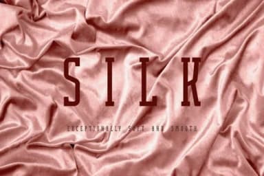 Sleek by Minimalistartstudio — Slab Serif Font — thumbnail 2