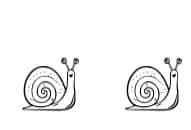 Snail Dings by Happy Bamboo — Dingbats Font — thumbnail 4