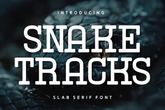 Snake Tracks by Wankriss — Slab Serif Font
