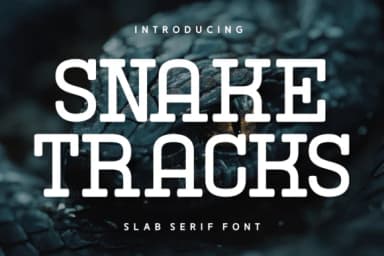 Snake Tracks by Wankriss — Slab Serif Font — thumbnail 1