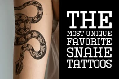 Snake Tracks by Wankriss — Slab Serif Font — thumbnail 2