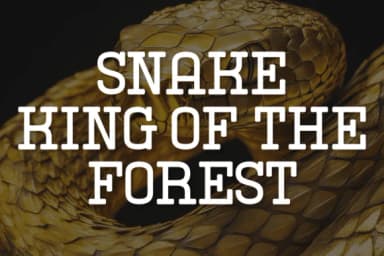 Snake Tracks by Wankriss — Slab Serif Font — thumbnail 5