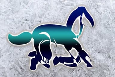 Soavaly by vladimirnikolic — Dingbats Font — thumbnail 2