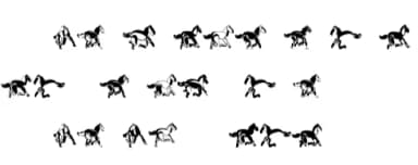 Soavaly by vladimirnikolic — Dingbats Font — thumbnail 5